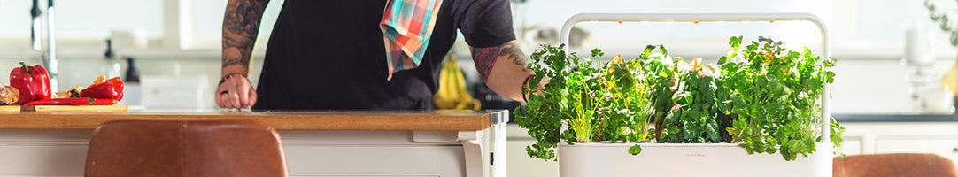 Smart Gardening